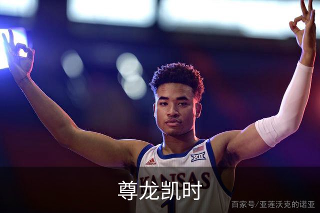 专业尊龙凯时平台