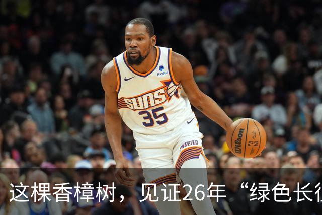 这棵香樟树，见证26年“绿色长征”